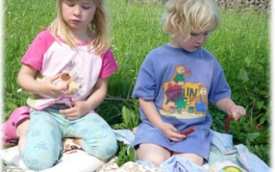 Pfingstsonntag, 11 Uhr: Picknickgottedienst
