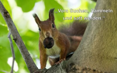 26.07. Openair-Gottesdienst mit Bilderbuchkino