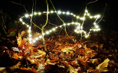 Weihnachtsgruß