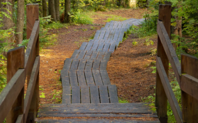 Bereitet dem Herrn den Weg! – Geistlicher Spaziergang zum 3. Advent