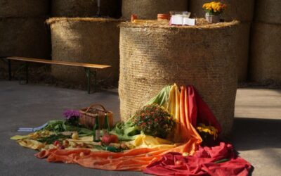 26.9.: Gottesdienste auf dem Wiesengut