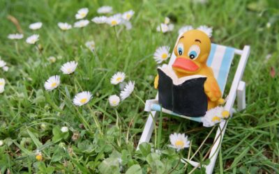 22.10. Kinderkirche – töpfern, pflanzen, chillen