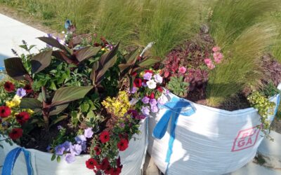 3. August: Gartentag