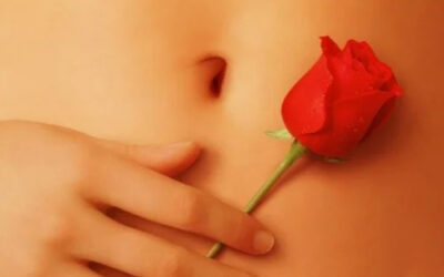 15.9.: Gottesdienst zu ‚American Beauty‘