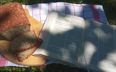 Sommerleseabend mit Paulus